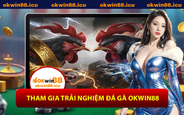 Tham Gia Trải Nghiệm Đá Gà OKWIN88
