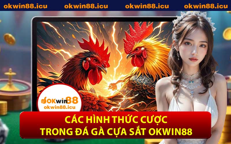 Các Hình Thức Cược Trong Đá Gà Cựa Sắt OKWIN88