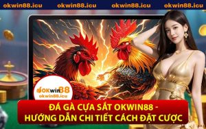 Đá Gà Cựa Sắt OKWIN88 - Hướng Dẫn Chi Tiết Cách Đặt Cược