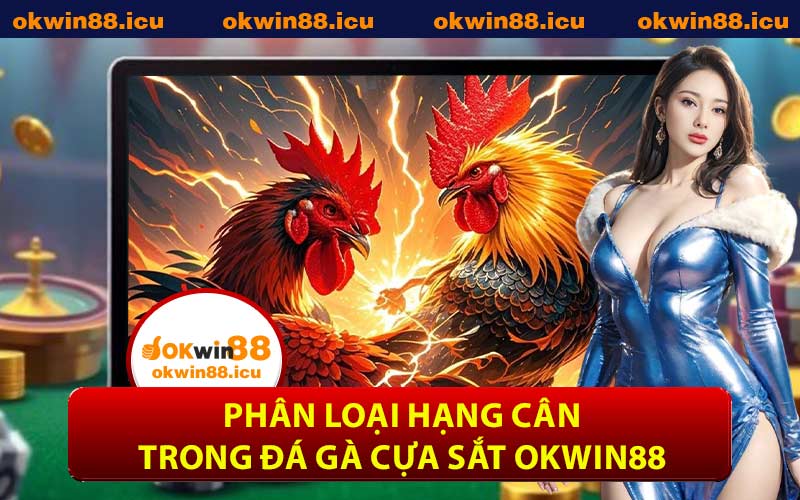 Phân Loại Hạng Cân Trong Đá Gà Cựa Sắt OKWIN88