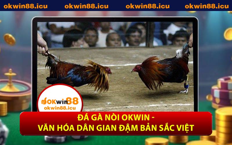 Đá Gà Nòi OKWIN - Văn Hóa Dân Gian Đậm Bản Sắc Việt