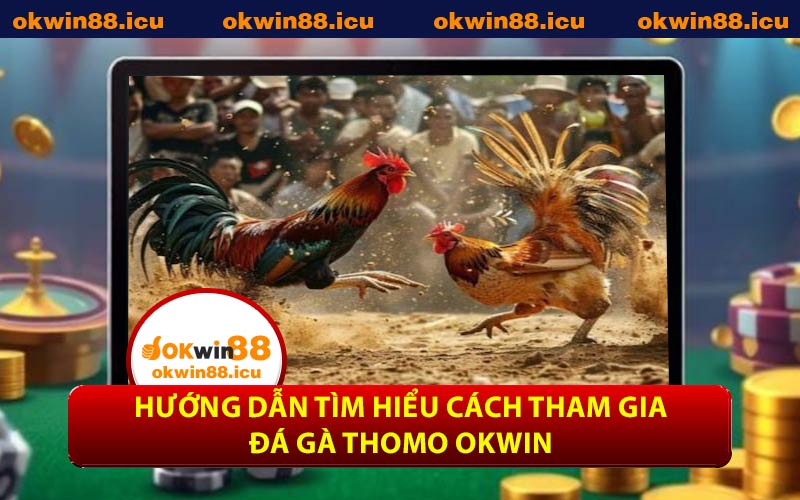 Hướng dẫn tìm hiểu cách tham gia đá gà Thomo OKWIN