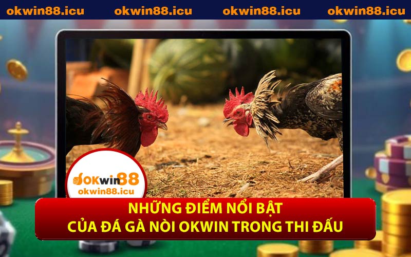 Những điểm nổi bật của đá gà nòi OKWIN trong thi đấu